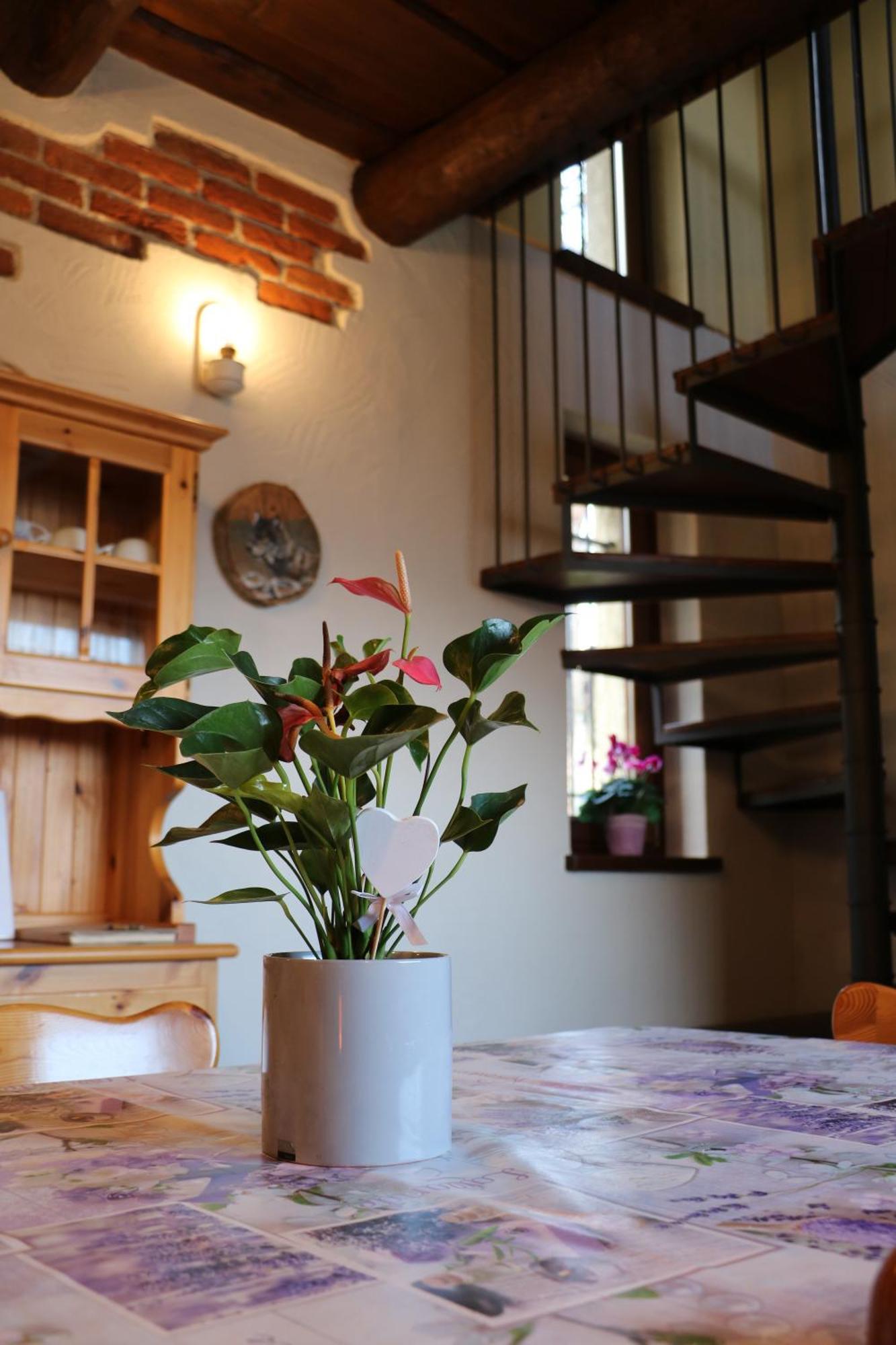 Casa Vacanze Le Primule Peveragno Exteriör bild