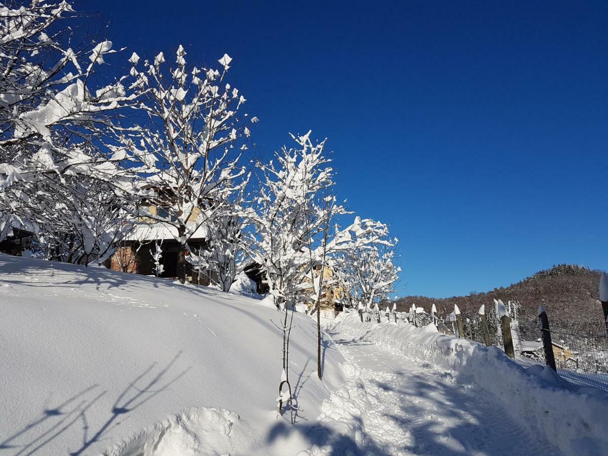 Casa Vacanze Le Primule Peveragno Exteriör bild
