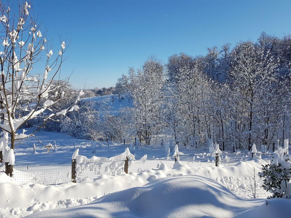 Casa Vacanze Le Primule Peveragno Exteriör bild