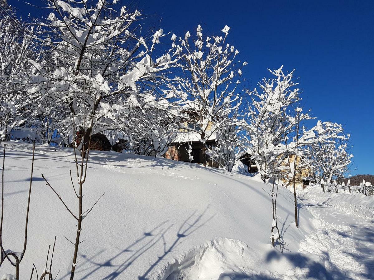 Casa Vacanze Le Primule Peveragno Exteriör bild